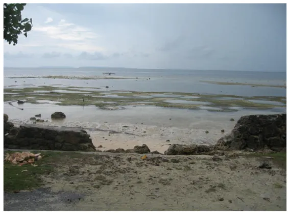 Gambar 1. Talud yang rusak di pantai Paray (Dokumentasi pribadi, 2006)
