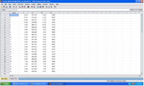 Gambar 4.3 Tampilan pada data view 