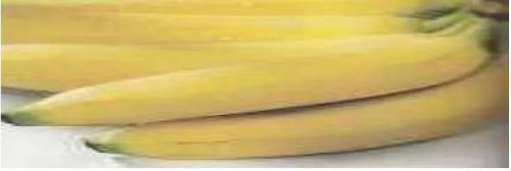 Gambar.2.3: pisang ambon putih 