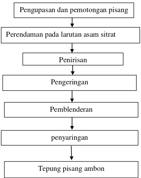 Gambar .2.5 : Skema Pembuatan tepung pisang ambon 