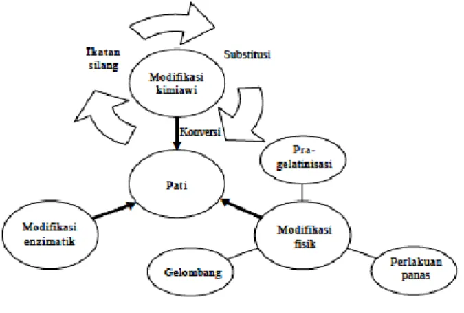 Gambar 2. Skema teknologi modifikasi pati (Herawati, 2012). 