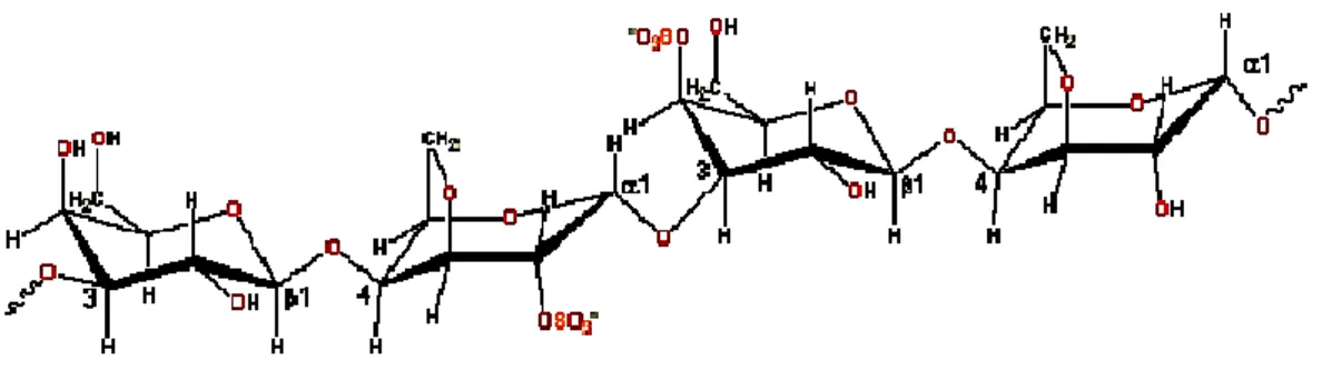 Gambar 4. Struktur kimia karagenan  (Ceamsa, 2001) 