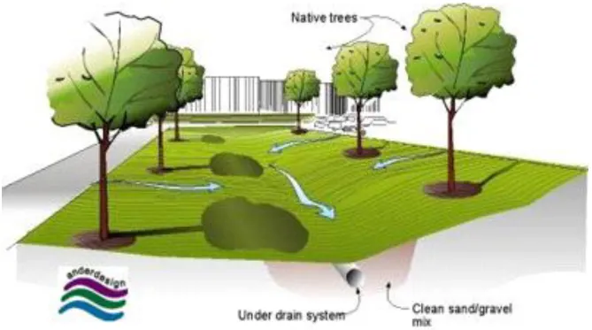 Fig. 1: Bio-swale schematicCourtesy Pierce County, /WSU Extension