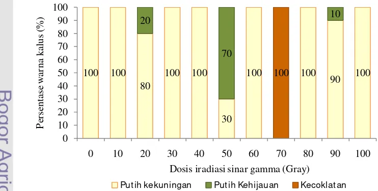 Gambar 8 Persentase perubahan warna kalus empat minggu setelah iradiasi sinar   