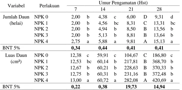 Tabel 2  Pengaruh Pupuk  NPK  Pelangi Terhadap Jumlah  Daun dan Luas  Daun Tanaman Mentimun.