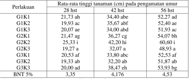 Tabel  2. Rerata tinggi tanaman (cm) cabai merah pengaruh pemberian dosis  pupuk gandasil D dan pupuk  guano 
