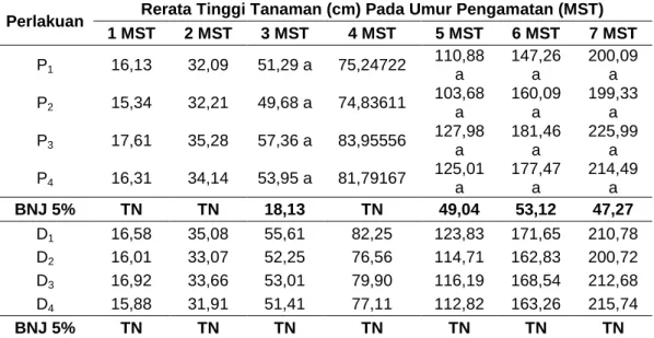 Tabel 1. Rata-rata Tinggi tanaman 