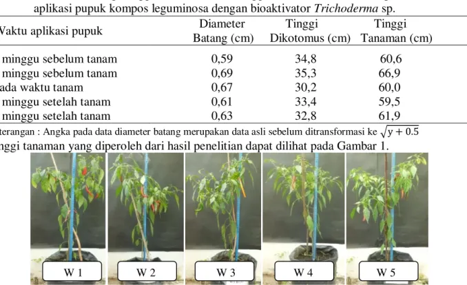 Tabel  1.  Diameter  batang,  tinggi  dikotomus  dan  tinggi  tanaman  cabai  akibat  perbedaan  waktu  aplikasi pupuk kompos leguminosa dengan bioaktivator Trichoderma sp