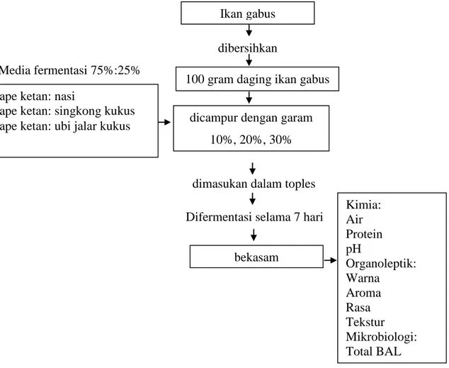 Gambar 1. Diagram Alir Bekasam Ikan Gabus (Nuraini dkk, 2014) Ikan gabus 