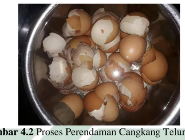 Gambar 4.2 Proses Perendaman Cangkang Telur Ayam 