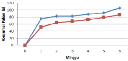 Gambar 2. Grafik Konsumsi Pakan Harian/Minggu Mugiyono dan Karmada (1989) melaporkan bahwa  kelinci  pada  fase  remaja  memiliki kecenderungan  untuk  mengkonsumsi  pakan  lebih banyak  dari  fase  lainnya