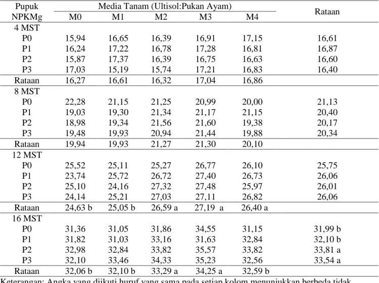 Tabel  1.Rataan  tinggi  bibit  (cm)  pada  berbagai  perlakuan  pupuk  kandang  ayam  dan  perlakuan        pupuk NPKMg umur 4-16 MST 