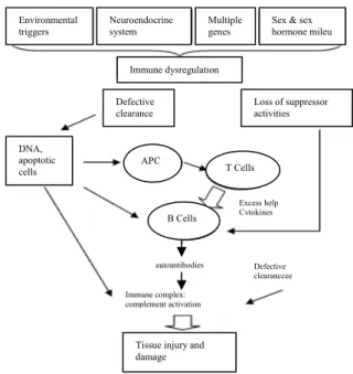 Gambar 1. Patogenesis SLE  7