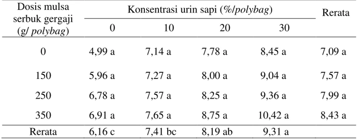 Tabel 6. Berat kering bibit kakao (g) dengan pemberian mulsa serbuk gergaji dan     urin sapi yang telah difermentasi 