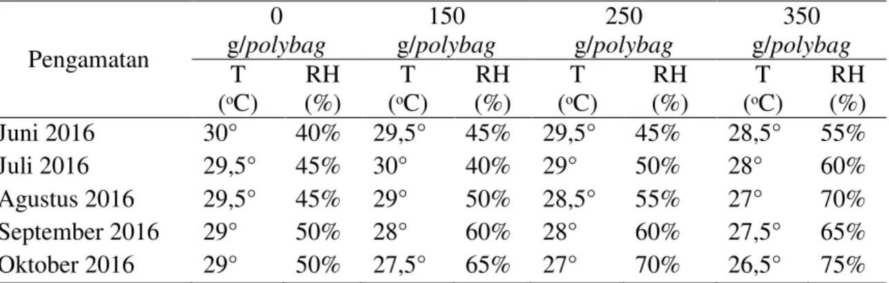 Tabel  1.  Temperatur  dan  kelembaban  medium  bibit  kakao  dengan  pemberian  mulsa serbuk gergaji  