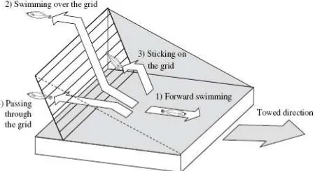 Gambar 11. Reaksi by-catch terhadap keberadaan Grid (Sumber: Matsushita, 2004) 