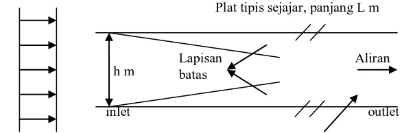 Gambar 3.1 menunjukkan suatu kondisi aliran di antara dua plat tipis sejajar. Panjang 