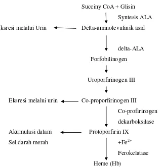 Gambar 2.1. Proses Penghambatan Hemoglobin oleh Pb (Darmono, 2001). 