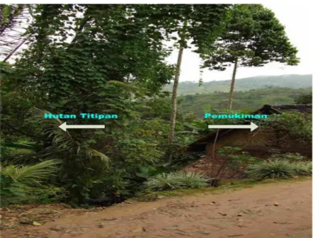 Gambar 2. Batas antara hutan titipan dengan pemukiman 