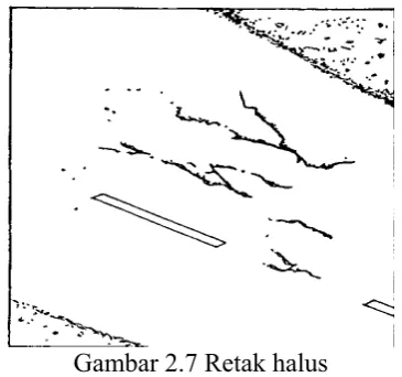 Gambar 2.7 Retak halus 