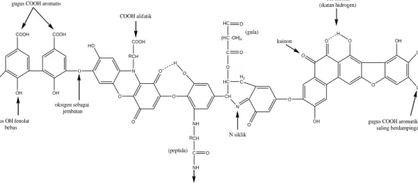 Gambar 1. Struktur hipotetik asam humat (Stevenson, 1994)  Studi menunjukkan bahwa AH dapat 