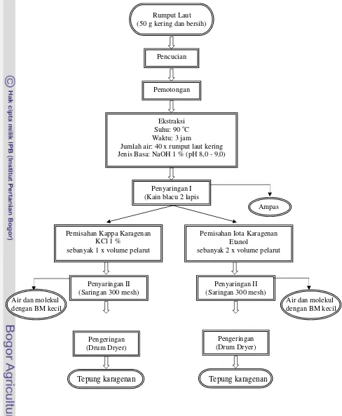 Gambar 6  Diagram alir proses pembuatan kappa dan iota karagenan 