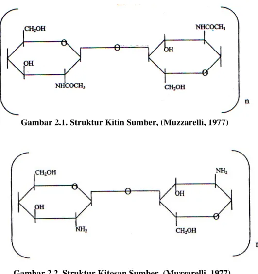 Gambar 2.1. Struktur Kitin Sumber, (Muzzarelli, 1977) 