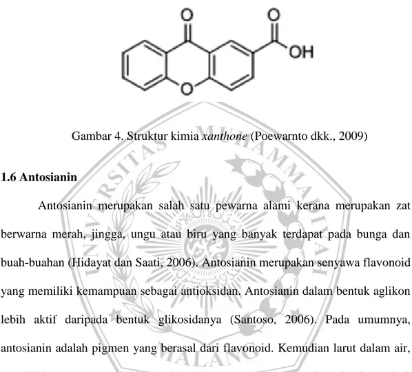Gambar 4. Struktur kimia xanthone (Poewarnto dkk., 2009) 