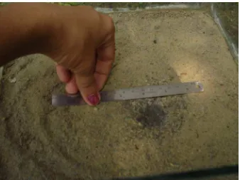 Gambar  10. Pengambilan sampel tanah untuk menghitung kadar air  