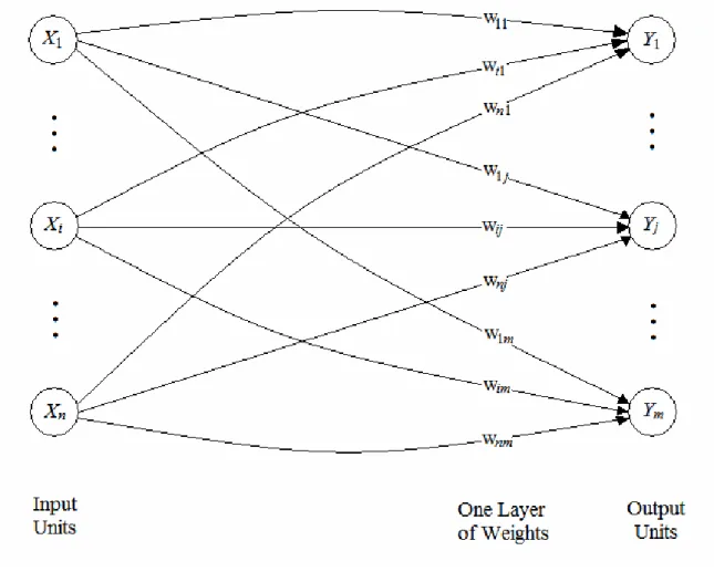 Gambar 2.2 Arsitektur Single Layer Network 