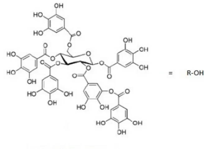 Gambar 1. Struktur tanin terhidrolisis  Galotanin 