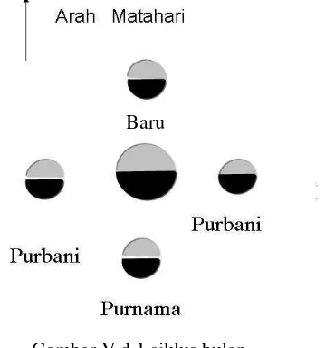 Gambar V.d.1 siklus bulan 