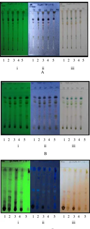 Gambar V.2. Kromatogram lapis tipis pemantauan ekstrak, fase diam silika gel 60 GF 254,  