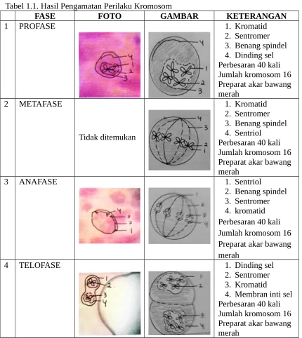 Tabel 1.1. Hasil Pengamatan Perilaku Kromosom