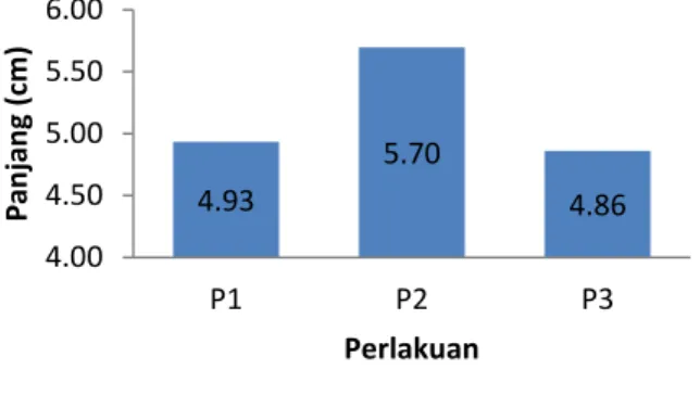 Gambar 2. Grafik pertumbuhan panjang benih ikan patin siam yang diberi pakan plus probiotik