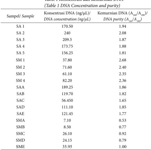 Tabel 1 Konsentrasi dan kemurnian DNA