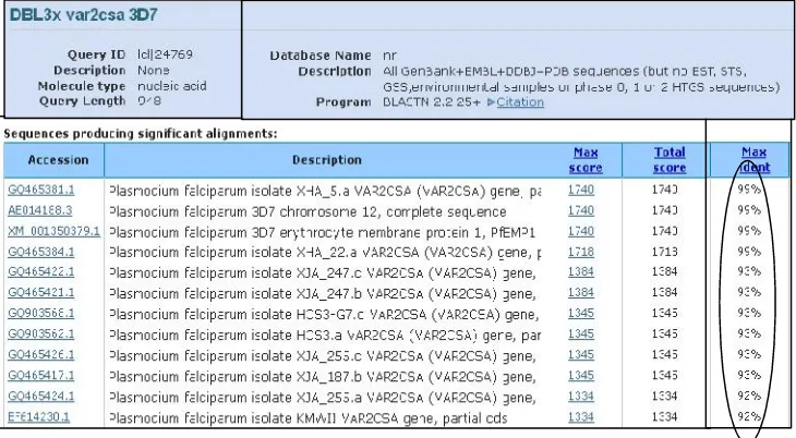 Gambar 5. Hasil analisis sekuen DBL3x gen var2csa produk kloning dengan program blast-n.Gen target DBL3x memiliki kedekatan 92-99% dengan data base DNA yangtersedia (lingkaran).