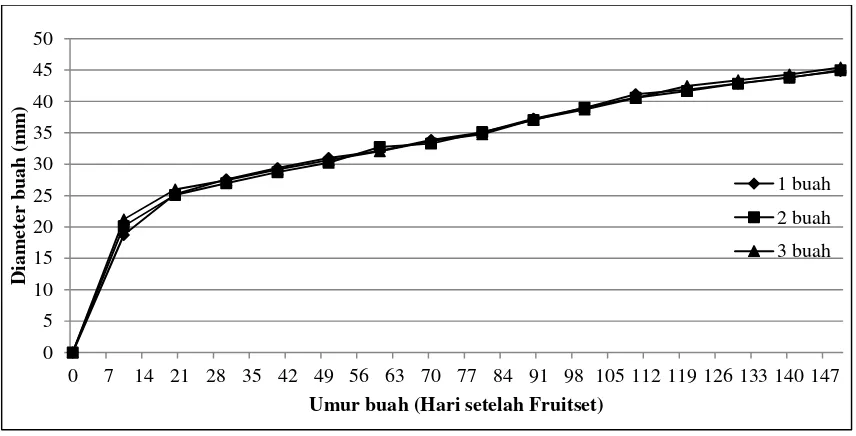 Gambar 1. Diameter buah jeruk pada jumlah buah muda per dompol yang berbeda.
