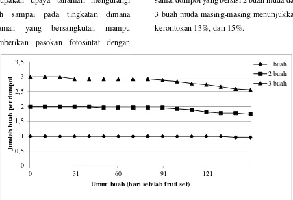 Gambar 2. Kerontokan buah pada dompol yang berisi buah muda dengan jumlah yang berbeda.