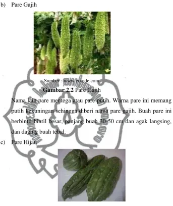 Gambar 2.2 Pare Gajih 