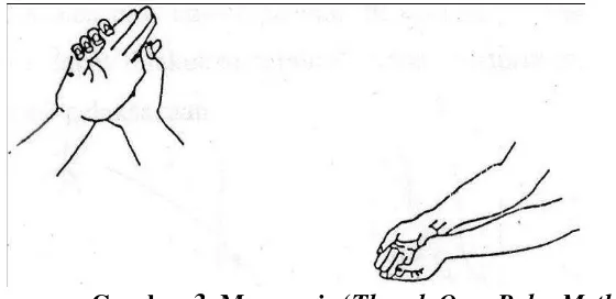 Gambar 3. Mengemis ( Thumb Over Palm Method) 