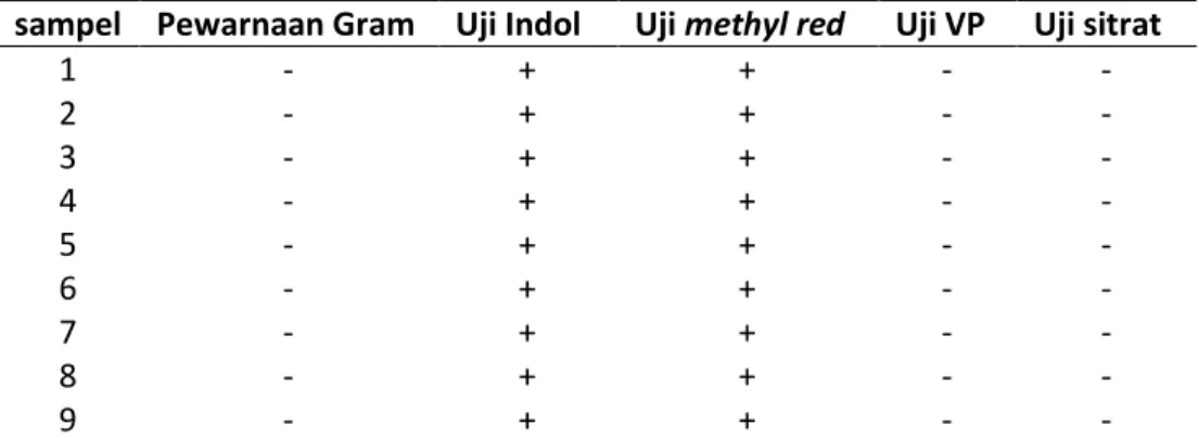 Tabel 2. Hasil uji identifikasi bakteri 