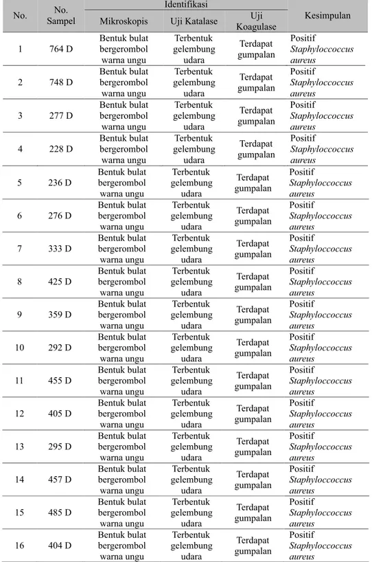Tabel 1. Hasil identifikasi 16 sampel darah pasien sepsis diduga positif Staphylococcus aureus