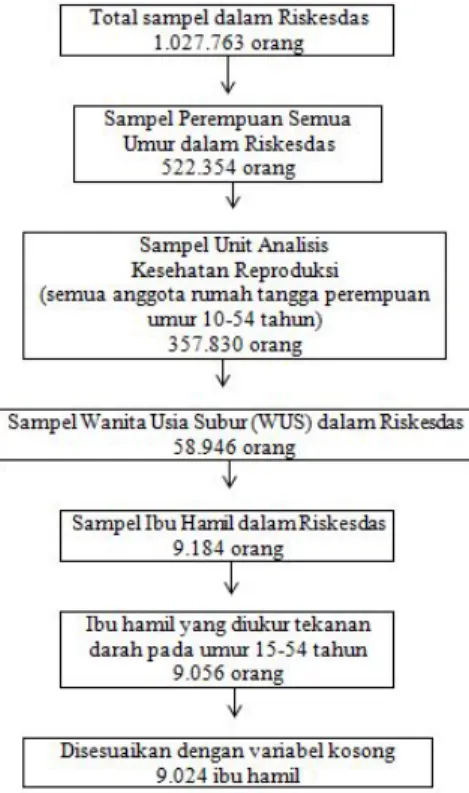 Gambar 1. Alur pengambilan sampel 