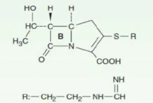 Gambar 2. Struktur Kimia  Karbapenem 15   