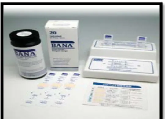Gambar 12. BANA test 