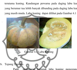 Gambar 4.1 Labu Kuning 