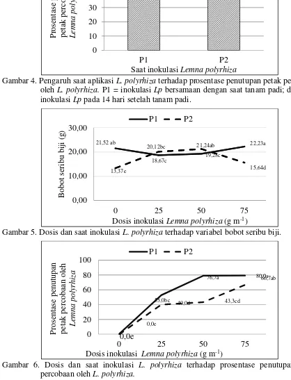Gambar 5. Dosis dan saat inokulasi L. polyrhiza terhadap variabel bobot seribu biji.