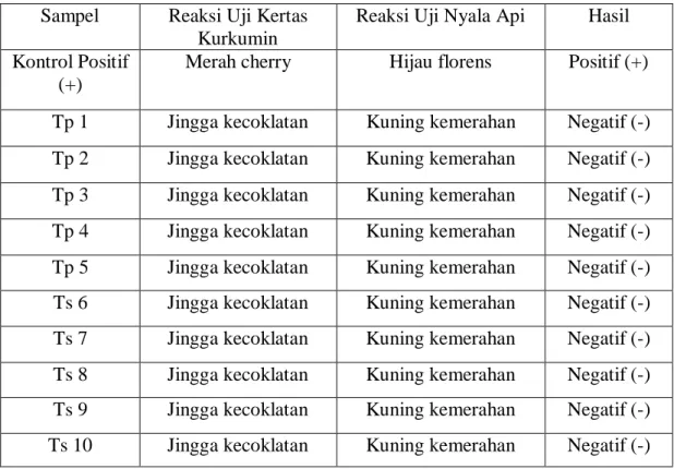 Tabel 4.2. Hasil Pengujian Kandungan Boraks Pada Sampel Tahu Putih Yang  Beredar Di Kota Medan