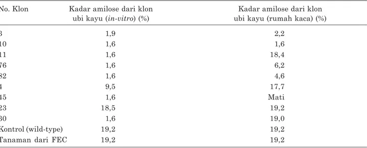 Tabel 2. Kandungan amilosa dari beberapa klon yang diperoleh melalui transformasi genetik.